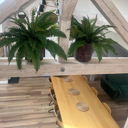 Attic Appart Stary Toruń מראה חיצוני תמונה