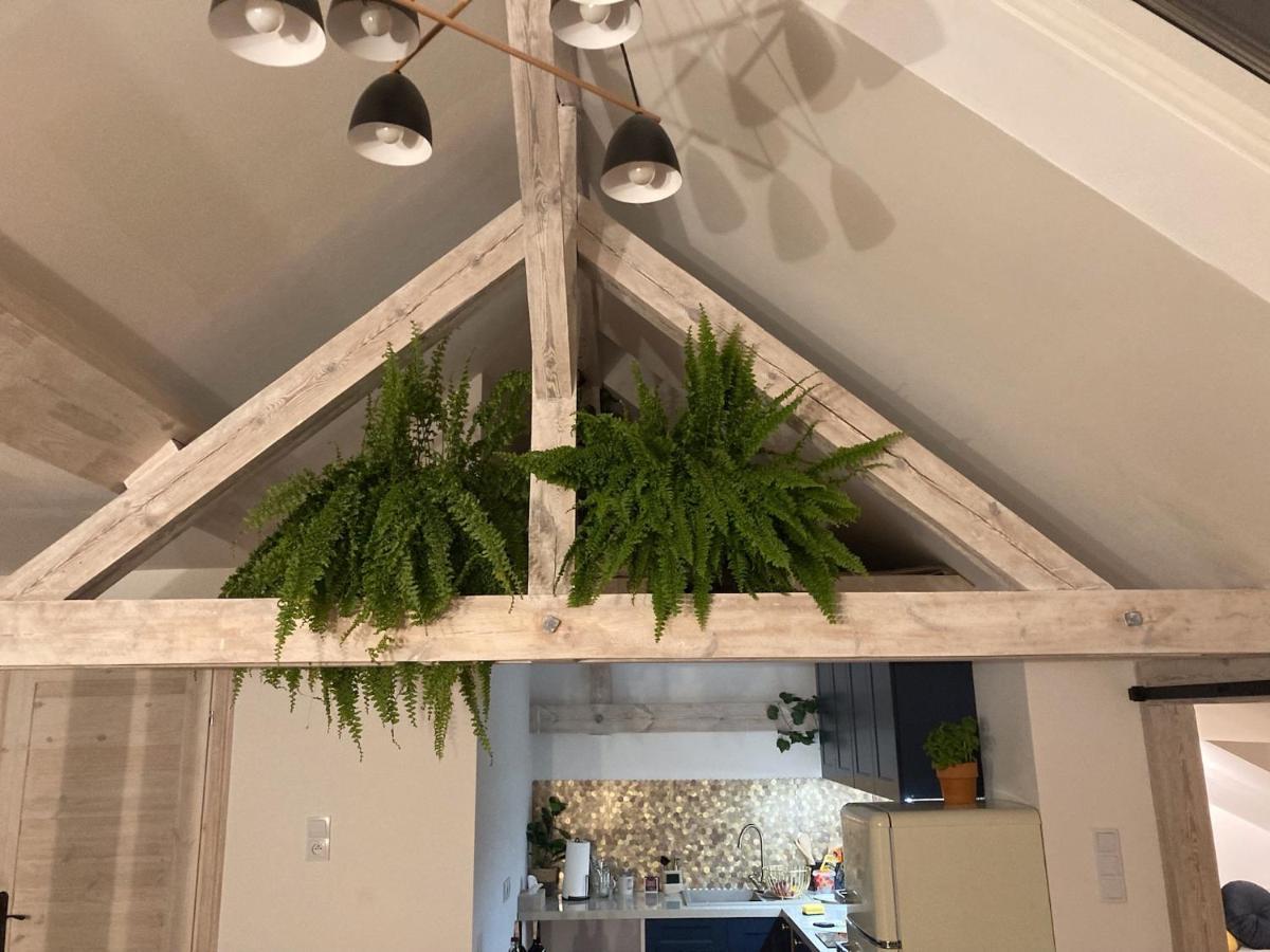 Attic Appart Stary Toruń מראה חיצוני תמונה