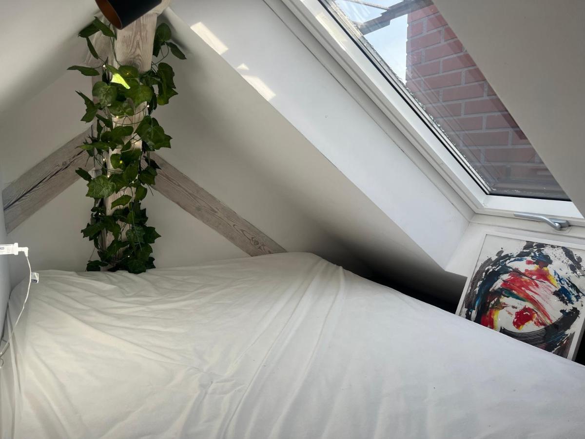Attic Appart Stary Toruń מראה חיצוני תמונה