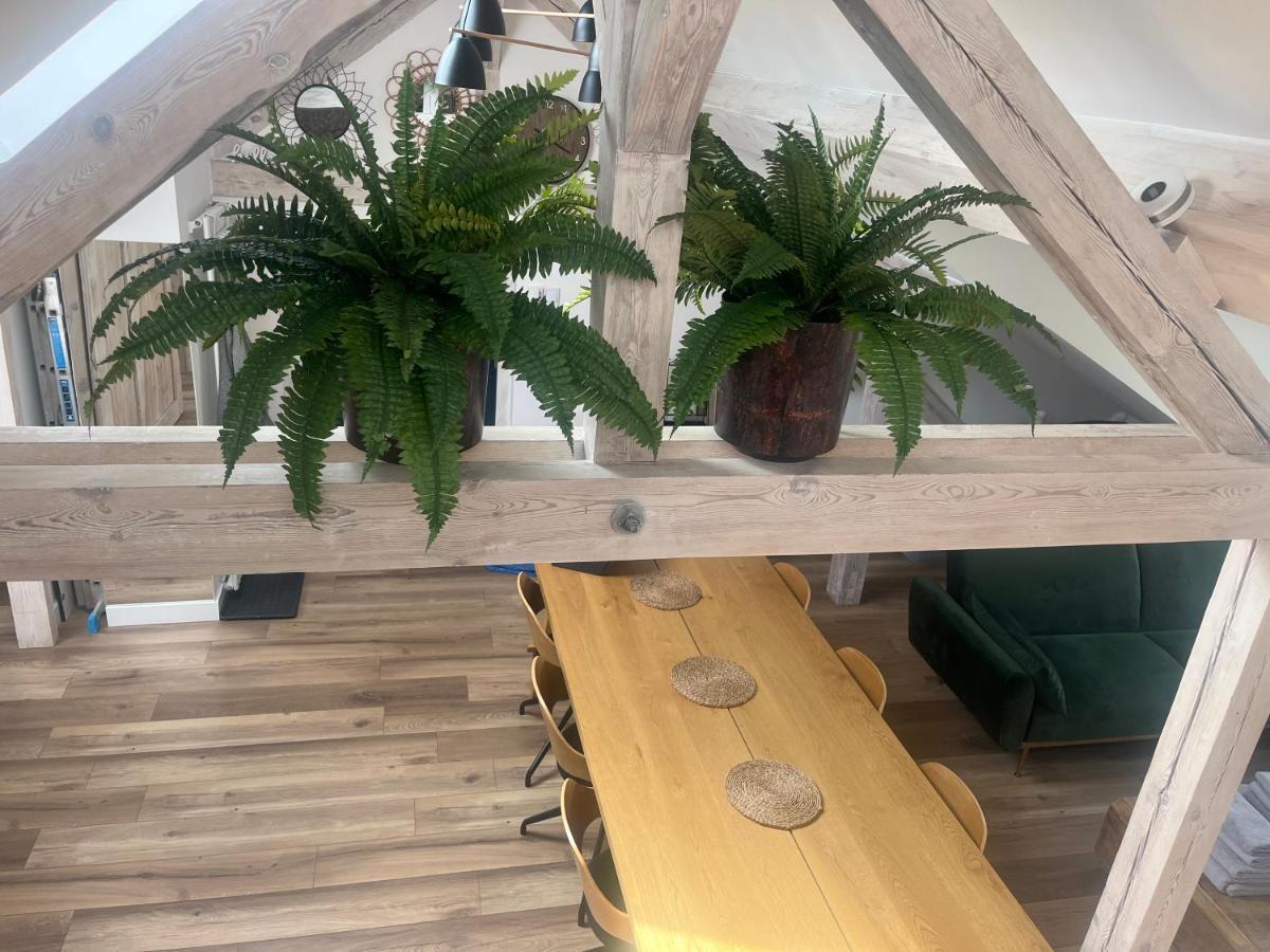 Attic Appart Stary Toruń מראה חיצוני תמונה