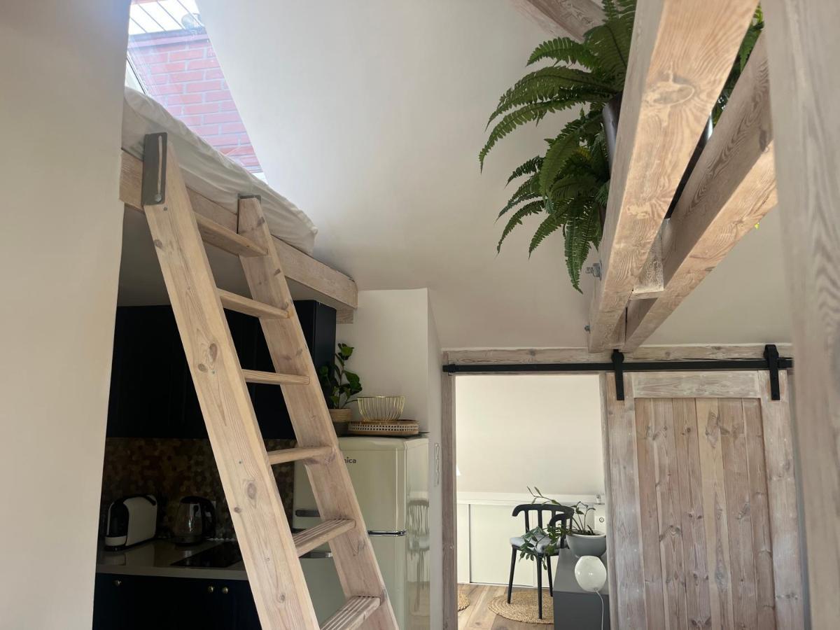 Attic Appart Stary Toruń מראה חיצוני תמונה